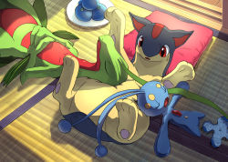 Rule 34 | berry (pokemon), commentary request, creatures (company), plate, food, fruit, game freak, gen 2 pokemon, gen 3 pokemon, gen 4 pokemon, grovyle, indoors, karamimame, legendary pokemon, lying, manaphy, mythical pokemon, nintendo, no humans, open mouth, oran berry, pillow, pokemon, pokemon (creature), quilava, sleeping, sleeping on person, tatami