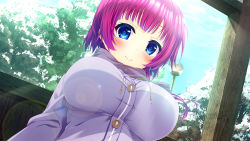 Rule 34 | 1girl, blue eyes, blush, breasts, buttons, cloud, coat, colored eyelashes, day, drawstring, dutch angle, female focus, game cg, haikai giga, kumihama yuki, lamppost, large breasts, lens flare, light smile, nironiro, outdoors, purple hair, ren&#039;ai phase, scarf, short hair with long locks, sky, smile, snow, solo, tree, upper body, winter clothes