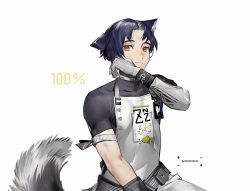 Rule 34 | 1boy, animal ears, apron, arknights, armband, bandaid, bandaid on face, bandaid on nose, bishounen, black hair, black shirt, blouse, dog boy, dog ears, dog tail, gloves, highres, infection monitor (arknights), male focus, orange eyes, shirt, short hair, solo, tail, toned, white apron, white gloves, windflit (arknights), wiping face, yyb