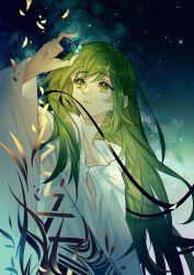 Rule 34 | 1other, androgynous, enkidu (fate), fate/grand order, fate (series), green eyes, green hair, holding, instocklee, long hair, long sleeves, looking at object, night, night sky, sky, solo, star (sky), very long hair