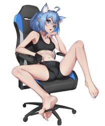 Rule 34 | 1girl, absurdres, ahoge, animal ear fluff, animal ears, barefoot, between toes, bike shorts, black gloves, black shorts, black sports bra, blue eyes, blue hair, blue nails, breasts, bright pupils, cat ears, cat girl, chair, crossed bangs, fang, feet, fingernails, gaming chair, gloves, hair between eyes, head rest, highres, holding with feet, looking at viewer, medium breasts, medium hair, midriff, nail polish, navel, open mouth, original, partially fingerless gloves, pjman, shorts, simple background, single glove, sitting, skin fang, soles, solo, sports bra, spread legs, stylus, swivel chair, tail, toenail polish, toenails, toes, white background, white pupils
