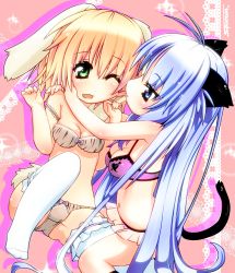 Rule 34 | 2girls, animal ears, bad id, bad pixiv id, blonde hair, blue eyes, blue hair, bra, breasts, rabbit ears, cat ears, cat tail, cleavage, licking another&#039;s face, green eyes, highres, licking, lingerie, long hair, multiple girls, navel, one eye closed, original, panties, short hair, small breasts, smile, spocom, strap slip, tail, thighhighs, tongue, underwear, underwear only, wink, yuri