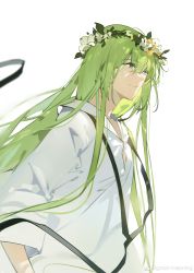 Rule 34 | 1other, absurdres, ambiguous gender, androgynous, closed mouth, enkidu (fate), fate/extra, fate/extra ccc, fate/grand order, fate/strange fake, fate/zero, fate (series), flower, green eyes, green hair, hair flower, hair ornament, head wreath, highres, long hair, long sleeves, looking away, robe, sad, simple background, solo, upper body, very long hair, white background, white flower, white robe, wide sleeves, zhizhicyzey