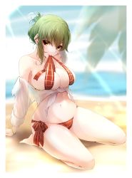 Rule 34 | 1girl, absurdres, alternate hairstyle, beach, bikini, breasts, cleavage, earrings, green hair, highres, itocoh, jewelry, kazami yuuka, large breasts, long sleeves, mouth hold, ocean, open clothes, open shirt, palm leaf, plaid, red eyes, ribbon, ribbon in mouth, sand, short hair, sitting, solo, swimsuit, touhou, yellow eyes