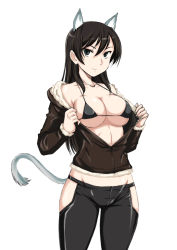 Rule 34 | 1girl, adolfine galland, animal ears, bare shoulders, bikini, bikini top only, black bikini, black eyes, black pants, breasts, brown hair, brown jacket, cat ears, cat tail, cleavage, closed mouth, collarbone, cowboy shot, fur-trimmed jacket, fur trim, groin, highres, hip vent, jacket, large breasts, legs apart, long hair, long sleeves, looking at viewer, off shoulder, open clothes, open jacket, pants, smile, solo, standing, straight hair, strike witches, strike witches zero, string bikini, swimsuit, tail, tight clothes, tight pants, undressing, wan&#039;yan aguda, world witches series
