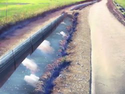 Rule 34 | cloud, day, grass, nature, plant, realistic, reflection, road, scenery, sky, water, yakkun