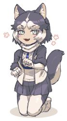 Rule 34 | 1girl, :3, an-chan (ananna0315), animal ears, black hair, black jacket, black pantyhose, blue eyes, blush, commentary request, dog ears, dog girl, dog tail, elbow gloves, fangs, fur trim, gloves, harness, highres, jacket, kemono friends, kneeling, multicolored clothes, multicolored hair, multicolored jacket, open mouth, pantyhose, paw pose, scarf, short hair, siberian husky (kemono friends), solo, sweater, tail, two-tone hair, two-tone jacket, two-tone legwear, white gloves, white hair, white jacket, white pantyhose, white scarf, white sweater