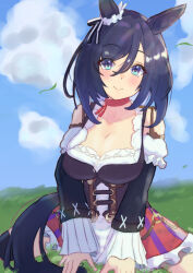 Rule 34 | 1girl, animal ears, bare shoulders, black dress, black hair, blue eyes, blue sky, blush, bodice, breasts, choker, cleavage, closed mouth, cloud, cloudy sky, commentary request, corset, detached sleeves, dirndl, dress, ear ornament, eishin flash (umamusume), frilled dress, frills, german clothes, hair between eyes, harakomeshi, highres, horse ears, horse girl, horse tail, large breasts, long sleeves, looking at viewer, on grass, on ground, outdoors, red choker, short hair, sitting, sky, smile, solo, tail, umamusume, wariza