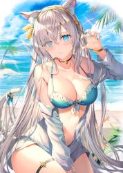 Rule 34 | 1girl, absurdres, anastasia (fate), animal ears, aqua bikini, bare shoulders, beach, bikini, blue eyes, blush, breasts, cat ears, cat tail, cleavage, collarbone, day, detexted, fate/grand order, fate (series), hairband, highres, huge filesize, jacket, large breasts, long hair, long sleeves, looking at viewer, non-web source, off shoulder, open clothes, open jacket, open mouth, rin yuu, scan, silver hair, solo, swimsuit, tail, third-party edit