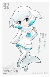 Rule 34 | 10s, 1girl, arm at side, ascot, blue ascot, blue eyes, blue hair, blue skirt, blush, border, cetacean tail, character name, clenched hand, closed mouth, dot nose, english text, eyelashes, fins, fish tail, footwear ribbon, full body, gradient hair, grey background, grey footwear, grey hair, grey ribbon, hand up, high heels, highres, japari symbol, kemono friends, leg lift, looking at viewer, md5 mismatch, multicolored hair, original, personification, pleated skirt, pumps, resolution mismatch, ribbon, rounded corners, sailor collar, scarf, shoes, short hair, simple background, skirt, solo, standing, standing on one leg, stylecase, sweater, tail, thighhighs, translation request, twitter username, white border, white hair, white sailor collar, white scarf, white sweater, white thighhighs, zettai ryouiki