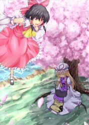 Rule 34 | 2girls, against tree, bad id, bad pixiv id, black hair, blonde hair, bow, chen, chen (cat), cherry blossoms, detached sleeves, female focus, flying, from above, hair bow, hakurei reimu, japanese clothes, lap pillow, large bow, mary janes, miko, multiple girls, multiple tails, oukawa yuu, petals, red eyes, shoes, shore, sleeping, tail, touhou, tree, two tails, yakumo yukari