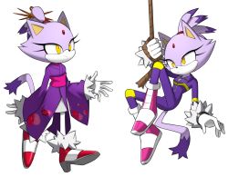 Rule 34 | 1girl, animal ears, blaze the cat, bodysuit, cat ears, cat girl, cat tail, flowers-imh, forehead jewel, full body, furry, furry female, gloves, highres, holding, holding rope, long sleeves, official alternate costume, purple hair, rope, shoes, smile, sonic (series), sonic riders, standing, tail