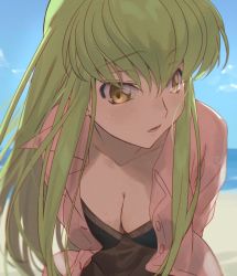 Rule 34 | 1girl, beach, blonde hair, blouse, breasts, c.c., cleavage, code geass, creayus, artistic error, green hair, leaning forward, long hair, medium breasts, open clothes, open mouth, open shirt, shaded face, shirt, sidelocks, solo, sweat, upper body