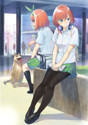 Rule 34 | 2girls, 3others, ambiguous gender, backpack, bag, begging, black socks, blue eyes, book, book on lap, breasts, building, day, dog, facing away, food, from behind, go-toubun no hanayome, grass, green skirt, hair ribbon, handbag, headphones, headphones around neck, highres, hirokiku, holding, holding food, kneehighs, loafers, looking down, medium breasts, multiple girls, multiple others, nakano miku, nakano yotsuba, open book, open mouth, outdoors, own hands together, pantyhose, pleated skirt, red hair, ribbon, sandwich, shadow, shirt, shoes, short hair, short sleeves, siblings, sisters, sitting, skirt, smile, socks, white shirt