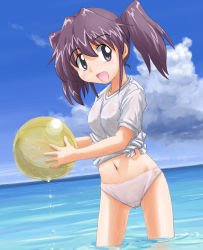 Rule 34 | 00s, 1girl, asou natsumi, ball, beachball, black eyes, cloud, day, navel, ocean, outdoors, panties, purple hair, see-through, sketchbook full colors, sky, smile, solo, swimsuit, tanada-bon, twintails, underwear, water, wet, wet clothes