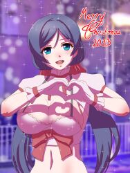 Rule 34 | 1girl, absurdres, aqua eyes, breasts, cleavage, highres, large breasts, looking at viewer, love live!, love live! school idol project, luser go, merry christmas, open mouth, purple hair, smile, solo, standing, tojo nozomi, twintails