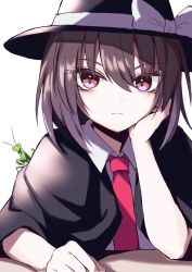 Rule 34 | 1girl, black hat, blouse, brown hair, capelet, expressionless, fedora, hair between eyes, hand on own cheek, hand on own face, hat, highres, looking at viewer, medium hair, necktie, one-hour drawing challenge, pink eyes, praying mantis, red necktie, shirt, simple background, solo, touhou, usami renko, white background, white shirt, yonoisan