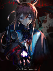Rule 34 | 1girl, amiya (arknights), amiya (guard) (arknights), animal ears, arknights, ascot, black background, black coat, blood, blood on clothes, blood on face, blood on wall, blue coat, blue eyes, brown hair, chinese commentary, closed mouth, coat, commentary request, cursive, english text, flower, frilled ascot, frills, grey background, highres, holding, holding flower, incoming gift, kkkovo, long hair, long sleeves, looking at viewer, official alternate costume, purple ascot, rabbit ears, smile, solo, upper body