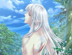 Rule 34 | 1boy, earrings, forest, frederico, injury, jewelry, long hair, male focus, nature, nude, pointy ears, solo, tattoo, white hair, wonderland online