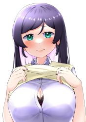 Rule 34 | 1girl, black bra, blush, bra, bra peek, breasts, button gap, collared shirt, colored inner hair, embarrassed, green eyes, hair down, highres, kooei, lace, lace bra, large breasts, lifting own clothes, long hair, looking at viewer, love live!, love live! school idol project, multicolored hair, otonokizaka school uniform, purple hair, school uniform, shirt, short sleeves, simple background, solo, summer uniform, sweater vest, swept bangs, tojo nozomi, underwear, upper body, vest lift, white background, white shirt, yellow eyes