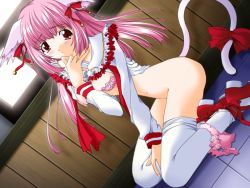 Rule 34 | animal ears, blush, cat ears, cat tail, character request, lace, long hair, looking at viewer, panties, panty pull, pink hair, red eyes, tail, underwear