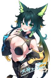 1girl amagami_shinia animal_ears bare_shoulders bikini bikini_top_only bikini_under_clothes black_bikini blush braid breasts commission commissioner_name darjeeling_(reley) detached_sleeves green_eyes green_hair hair_between_eyes highres indie_virtual_youtuber large_breasts long_hair looking_at_viewer multicolored_hair navel open_mouth pants second-party_source signature simple_background skeb_commission smile solo swimsuit tail thank_you very_long_hair virtual_youtuber white_background wolf_tail