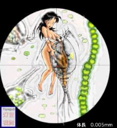 Rule 34 | 1girl, black hair, breasts, copepoda, microscope, mini person, minigirl, nipples, nude, open mouth, see-through, toyogub, vore, what