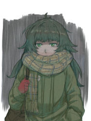 Rule 34 | 1girl, ahoge, bag, closed mouth, coat, frown, gloves, green coat, green eyes, green hair, grey background, highres, hiyajou maho, holding strap, long hair, looking at viewer, menomorute, messy hair, rain, red gloves, scarf, solo, steins;gate, steins;gate 0, tagme, upper body, very long hair