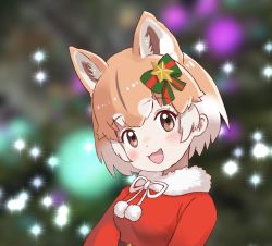 Rule 34 | 1girl, :3, animal ears, blush, bow, bowtie, brown eyes, christmas, dog (shiba inu) (kemono friends), dog ears, dog girl, dress, extra ears, female focus, fur collar, green bow, hair bow, highres, ieinu account, kemono friends, kemono friends 3, light brown hair, looking at viewer, merry christmas, multicolored hair, official alternate costume, open mouth, red bow, red dress, santa costume, smile, solo, two-tone hair, white bow, white bowtie, white fur, white hair