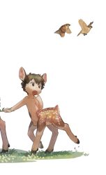 Rule 34 | 1boy, animal ears, bird, black hair, brown eyes, centauroid, child, completely nude, deer boy, hand up, male focus, mullmull02, nude, open mouth, original, short hair, simple background, solo, sparrow, taur, walking, white background, wide-eyed, wide shot
