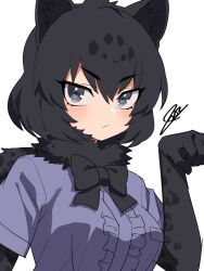 Rule 34 | 1girl, :/, animal ears, animal print, arm at side, black bow, black bowtie, black hair, black jaguar (kemono friends), bow, bowtie, center frills, closed mouth, elbow gloves, frilled shirt, frills, fur scarf, gloves, grey background, grey eyes, hair between eyes, hand up, hatagaya, jaguar ears, jaguar print, kemono friends, looking at viewer, medium hair, multicolored hair, paw pose, print gloves, print scarf, purple shirt, scarf, shirt, short sleeves, signature, simple background, solo, upper body