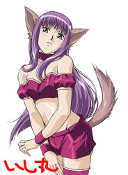 Rule 34 | 00s, 1girl, animal ears, arm garter, breasts, bridal garter, choker, female focus, fujiwara zakuro, ishino satoshi, long hair, looking at viewer, magical girl, mew zakuro, open mouth, parted lips, purple eyes, purple hair, simple background, small breasts, solo, tail, tokyo mew mew, white background, wolf ears, wolf tail