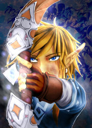 Rule 34 | 1boy, animal, arrow (projectile), artist request, bird, blonde hair, blue eyes, bow (weapon), link, male focus, nintendo, pointy ears, solo, the legend of zelda, the legend of zelda: breath of the wild, upper body, weapon