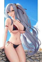 Rule 34 | 1girl, adapted costume, ahoge, arm strap, azur lane, bare shoulders, bikini, bird, black bikini, blush, breasts, chick, cleavage, contrail, cowboy shot, day, drake (azur lane), embarrassed, grey hair, hair between eyes, hair ribbon, halterneck, head tilt, highres, jewelry, large breasts, legs together, long hair, looking at viewer, micro bikini, narrow waist, navel, necklace, outdoors, parted lips, ribbon, side-tie bikini bottom, side ponytail, sidelocks, skindentation, smile, solo, standing, stomach, string bikini, swimsuit, thighs, two-tone ribbon, very long hair, wavy hair, yellow eyes, zaphn