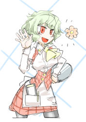 Rule 34 | 1girl, :d, absurdres, ascot, commentary request, flower, green hair, highres, holding, holding tray, kazami yuuka, long sleeves, oonishi jun, open mouth, pink flower, plaid, plaid skirt, red eyes, red skirt, short hair, skirt, smile, solo, touhou, tray, white background, yellow ascot