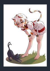 Rule 34 | 1girl, animal ears, barefoot, bell, bent over, black cat, border, bright pupils, brown headwear, cat, cat ears, cat girl, cat stretch, cat tail, commentary request, crop top, extra ears, fang, feet, fingernails, flat chest, full body, goutokuji mike, grass, grey border, hands on own knees, highres, jingle bell, leaning forward, looking at viewer, medium bangs, multicolored hair, neck bell, nekomata, open mouth, orange eyes, orange hair, patchwork clothes, pointy ears, shirt, short hair, simple background, skirt, skirt set, smile, solo, standing, streaked hair, stretching, tail, toenails, toes, touhou, white background, white hair, white pupils, white shirt, wristband, yan pai
