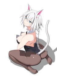 Rule 34 | 1girl, absurdres, animal ears, blue eyes, braid, braided ponytail, breast hold, breasts, cat ears, cat girl, cat tail, from behind, geeks.an, highres, kittysuit, looking back, nipples, nontraditional playboy bunny, original, silver hair, solo, tail, white background