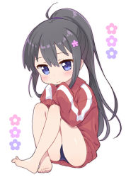 Rule 34 | 1girl, bare legs, barefoot, black hair, blue eyes, blue one-piece swimsuit, blush, closed mouth, commentary request, crossed ankles, flower, full body, hair between eyes, hair flower, hair ornament, hands up, high ponytail, jacket, jigatei (omijin), knees up, long hair, long sleeves, looking at viewer, one-piece swimsuit, pink flower, pointy ears, ponytail, purple background, red jacket, shirosaki hana, simple background, sitting, sleeves past fingers, sleeves past wrists, solo, swimsuit, swimsuit under clothes, track jacket, very long hair, watashi ni tenshi ga maiorita!, white background