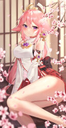 Rule 34 | 1girl, absurdres, animal ears, bare legs, bare shoulders, blush, branch, breasts, cherry blossoms, closed mouth, detached sleeves, earrings, educk, falling petals, feet out of frame, floppy ears, fox ears, genshin impact, hair ornament, highres, japanese clothes, jewelry, knees together feet apart, legs, long hair, looking at viewer, low-tied long hair, medium breasts, nontraditional miko, panties, pantyshot, petals, pink hair, purple eyes, ribbon trim, shirt, sitting, sleeveless, sleeveless shirt, smile, solo, thighs, turtleneck, underwear, very long hair, white panties, white shirt, white sleeves, wide sleeves, yae miko