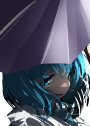 Rule 34 | 1girl, absurdres, blue hair, from side, heterochromia, highres, looking at viewer, open mouth, purple umbrella, short hair, smile, solo, tatara kogasa, touhou, umbrella, ushitsuchi, white background