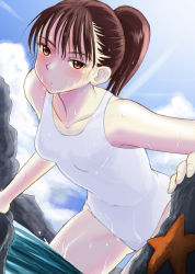 Rule 34 | 1girl, bad id, bad pixiv id, brown eyes, brown hair, highres, leaning forward, long hair, one-piece swimsuit, original, ponytail, pt@i, rock, solo, starfish, swimsuit, wading, wet, white one-piece swimsuit
