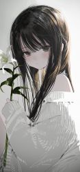 Rule 34 | 1girl, absurdres, black eyes, black hair, blush, closed mouth, commentary request, fanbox username, flower, hair between eyes, highres, holding, holding flower, honnryou hanaru, lily (flower), long hair, long sleeves, looking at viewer, off shoulder, original, signature, simple background, solo, sweater, twitter username, upper body, white flower, white sweater