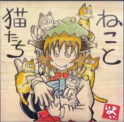 Rule 34 | 1girl, animal, animal ears, animal on head, brown hair, cat, cat ears, cat on head, cat tail, chen, fang, hat, looking at viewer, multiple tails, nekomata, on head, short hair, simple background, smile, tail, touhou, translation request, two tails, yotsuboshi-imai