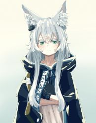 Rule 34 | 1girl, animal ear fluff, animal ears, arknights, blush, book, hugging book, cat ears, cloak, closed mouth, green eyes, highres, holding, holding book, hood, hooded cloak, infection monitor (arknights), long hair, hugging object, rosmontis (arknights), seriten, silver hair, solo