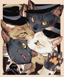 Rule 34 | animal, animal focus, black cat, black hat, black nails, black sleeves, border, bowler hat, brown border, cat, cat day, claws, clothed animal, collared shirt, commentary, dated, fangs, hat, high collar, highres, long sleeves, looking at viewer, lower teeth only, no humans, open mouth, original, outside border, shirt, striped collar, teeth, tonbippo08, twitter username, white cat, white shirt