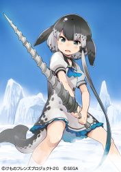 Rule 34 | 1girl, black bow, black hair, black neckerchief, blowhole, blue eyes, blue frills, blue neckerchief, blush, bow, cetacean tail, choker, commentary request, denchuubou, dress, fins, fish tail, frilled dress, frills, grey dress, grey hair, hair bow, kemono friends, kemono friends 3, narwhal (kemono friends), neckerchief, official art, polearm, puffy short sleeves, puffy sleeves, sailor collar, sailor dress, short hair, short hair with long locks, short sleeves, socks, solo, spear, tail, weapon, white socks
