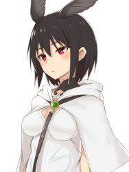 Rule 34 | 1girl, black hair, blush, breasts, capelet, detached collar, elfenlied22, fate/grand order, fate (series), hair between eyes, head wings, highres, hood, hooded capelet, leash, medium breasts, ortlinde (fate), red eyes, shirt, short hair, solo, upper body, valkyrie (fate), white background, white capelet, white shirt, wings