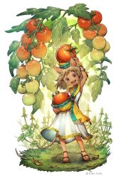 Rule 34 | 1girl, bangle, bracelet, cherry tomato, commentary request, dress, food, food on head, fruit, fruit on head, full body, highres, jewelry, kiitos, leaf, looking at viewer, mini person, minigirl, mouse girl, object on head, open mouth, original, plant, sandals, sleeveless, sleeveless dress, smile, solo, standing, tomato, twitter username, water, white background, white dress