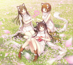 Rule 34 | 3girls, animal ears, blush, boots, brown eyes, brown hair, cat ears, cat girl, censored, convenient censoring, dress, female focus, field, flower, flower field, grass, hair flower, hair ornament, heart, heart hands, heart hands duo, long hair, looking at viewer, lying, mana kakkowarai, multiple girls, naked sweater, on back, original, outdoors, ribbed sweater, scarf, shared clothes, shared scarf, short hair, sitting, sleeveless, sleeveless dress, smile, sweater, very long hair, wariza, white dress