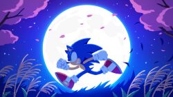 Rule 34 | 1boy, animal ears, animal nose, arms up, blue fur, blue sky, branch, full moon, furry, furry male, gloves, gold trim, grass, green eyes, hedgehog, hedgehog ears, hedgehog tail, highres, leaf, looking to the side, male focus, moon, night, night sky, official art, outdoors, red footwear, running, shoes, sky, smile, sneakers, socks, solo, sonic (series), sonic the hedgehog, star (sky), starry sky, tail, teeth, tree, uno yuuji, white gloves, white socks